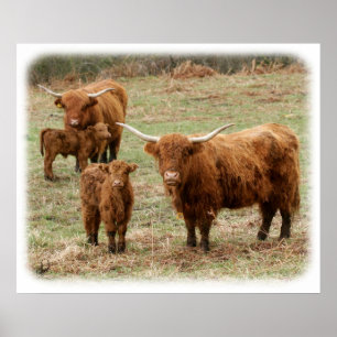 Hoogland Rundvee 9Y316D-055 Poster