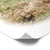 Hoogland Rundvee 9Y316D-055 Poster (Hoek)