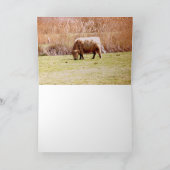 Hoogland vee grazen kaart (Binnen)