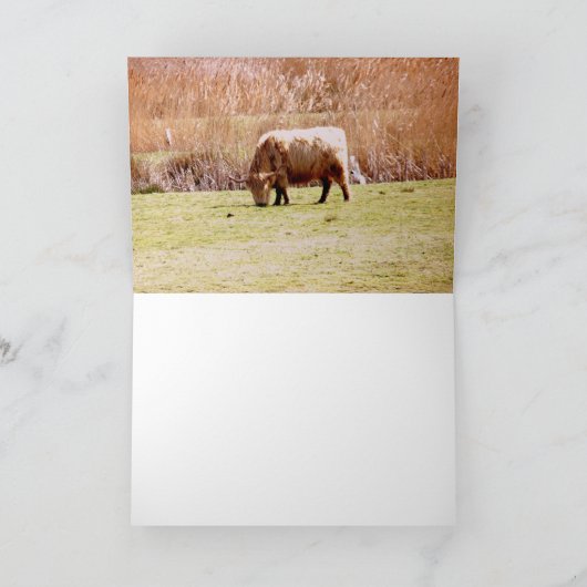 Hoogland vee grazen kaart (Binnen)