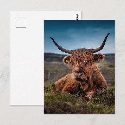 Hooglandenkool Briefkaart (Voorkant / Achterkant)