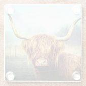 Hooglandenkool Glazen Onderzetter (Achterkant)