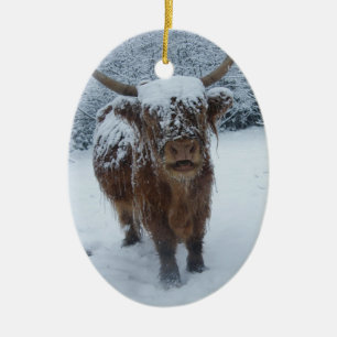 Hooglandenkool in de sneeuw keramisch ornament