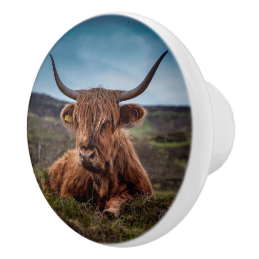 Hooglandenkool Keramische Knop (Rechts)