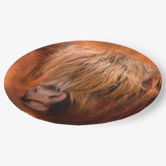 Hooglandenkool Papieren Bordje (Gekanteld)