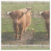 Hooglandenkool Stof (Close Up)