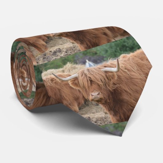 Hooglandenkool Stropdas (Opgerold)