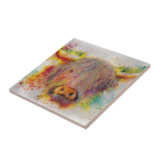 Hooglandenkool Tegeltje (Zijkant)