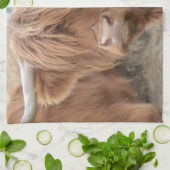 Hooglandenkool Theedoek (Gevouwen)