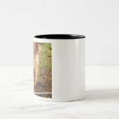 Hooglandenkool Tweekleurige Koffiemok (Center)