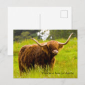 Hooglanderkostkaart Briefkaart (Voorkant / Achterkant)