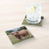 Hooglanders Glas Onderzetter (Schuin)