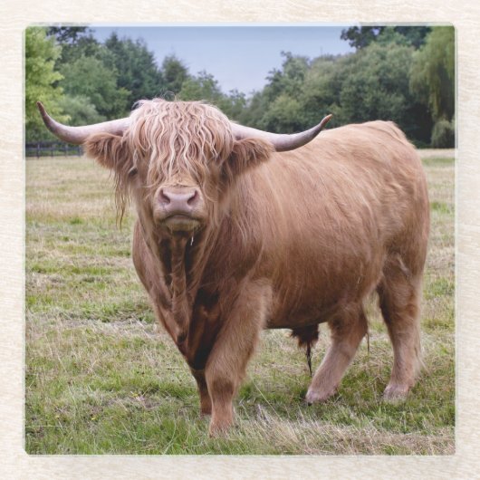 Hooglanders Glas Onderzetter (Voorkant)