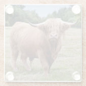 Hooglanders Glas Onderzetter (Achterkant)