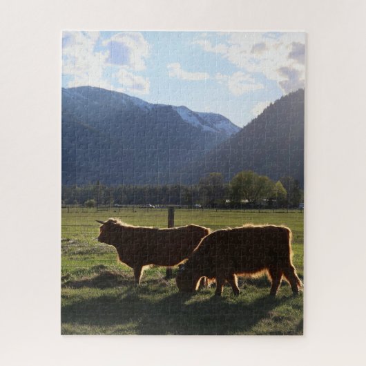 Hooglanders in Montana Puzzel (Verticaal)