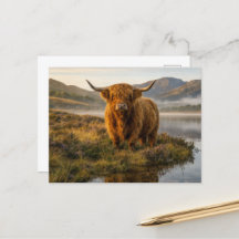 Hooglanders Schotse Hooglanden Nevelig Loch Zonsop