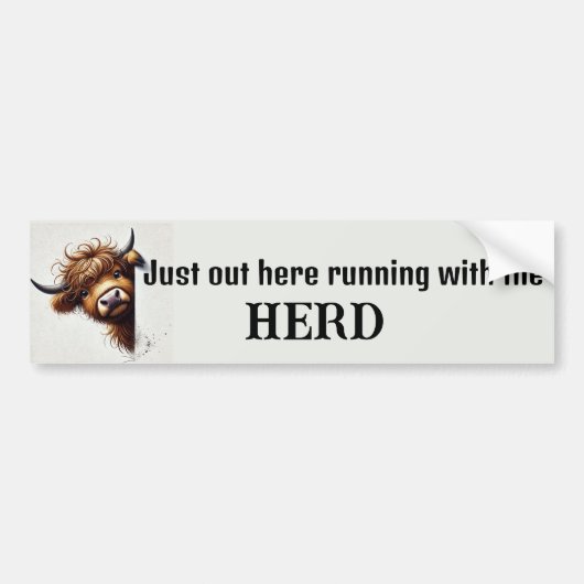 Hooglanderskoe Bumpersticker (Voorkant)