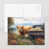Hooglandkoe die hooi eet briefkaart (Voorkant / Achterkant)