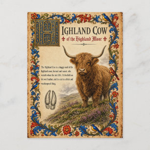 Hooglandrund, Middeleeuwse Bestiariumkunst Briefkaart