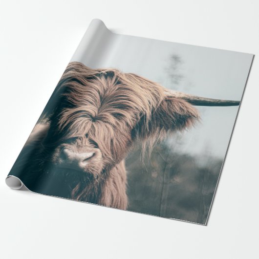 Hooglandrund portret cadeaupapier (Uitgerold)