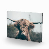 Hooglandrund portret fotoblokken (Rechts)