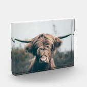 Hooglandrund portret fotoblokken (Links)