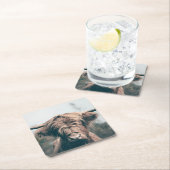 Hooglandrund portret kartonnen onderzetters (Insitu)