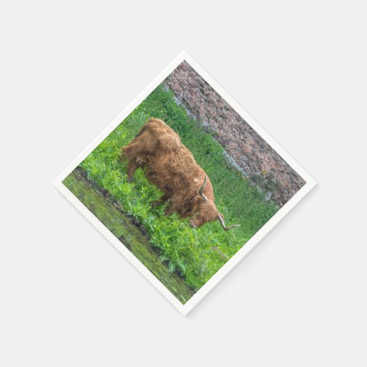 Hooglandrund Servetten (Hoek)