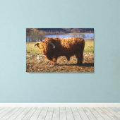 Hooglandrund Stier, Schotland Canvas Afdruk (Insitu (Houten vloer))