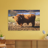 Hooglandrund Stier, Schotland Canvas Afdruk (Insitu (Woonkamer))