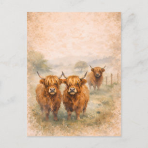 Hooglandrund - Watercolour Dieren Briefkaart