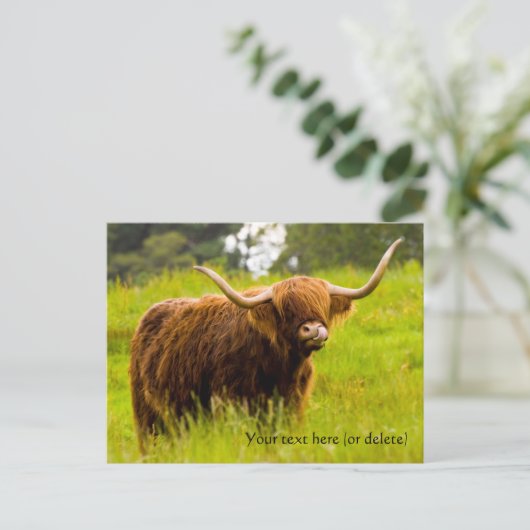 Hooglandrundkaart Briefkaart (Staand voorkant)