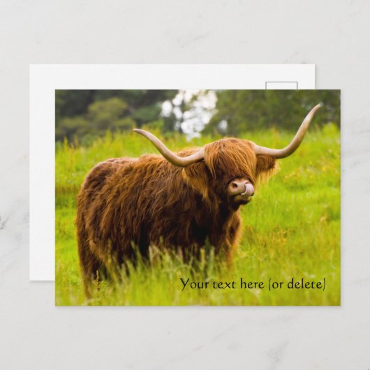 Hooglandrundkaart Briefkaart (Voorkant / Achterkant)