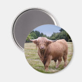 Hooglandrundmagnet Magneet (Voorkant / Achterkant)