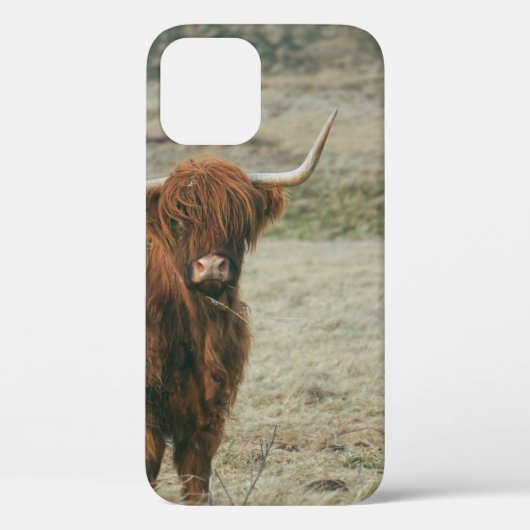 HOOGLANDSE KOE FOTO Case-Mate iPhone CASE (Achterkant)