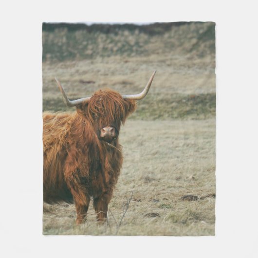 HOOGLANDSE KOE FOTO FLEECE DEKEN (Voorkant)