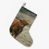  HOOGLANDSE KOE FOTO KLEINE KERSTSOK (Voorkant (Hangend))