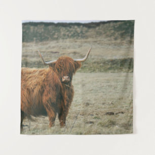 HOOGLANDSE KOE FOTO WANDKLEED