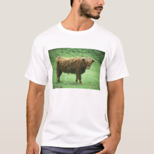 Hooglandstier, Mull-eiland, Binnen- T-shirt