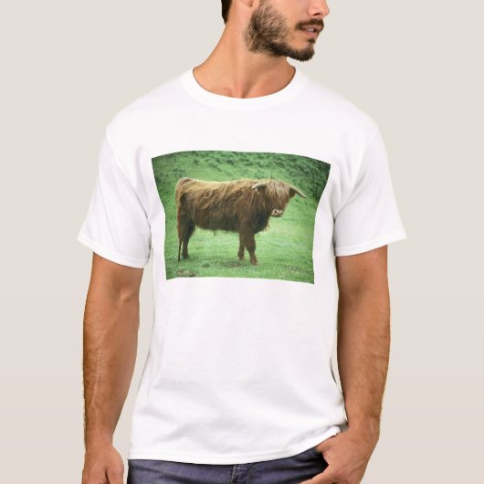 Hooglandstier, Mull-eiland, Binnen- T-shirt (Voorkant)
