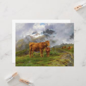 Hooglandvee (door Rosa Bonheur) Kaart (Voorkant / Achterkant in situ)