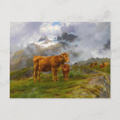 hooglandvee | Rosa Bonheur Briefkaart (Voorkant)