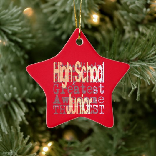 Hoogleraar junior extraordinaire keramisch ornament (Boom)