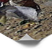 Hoogpunt Tibetan Plateau op weg naar Kailash Poster (Hoek)