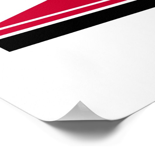 Hoogspringen Poster (Hoek)