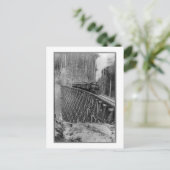 Hoogste enkel stijgende boomstam in de wereld briefkaart (Staand voorkant)