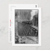 Hoogste enkel stijgende boomstam in de wereld briefkaart (Voorkant / Achterkant)