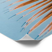 HOOGSTE HOOGTE VAN COCONUT TREE POSTER (Hoek)