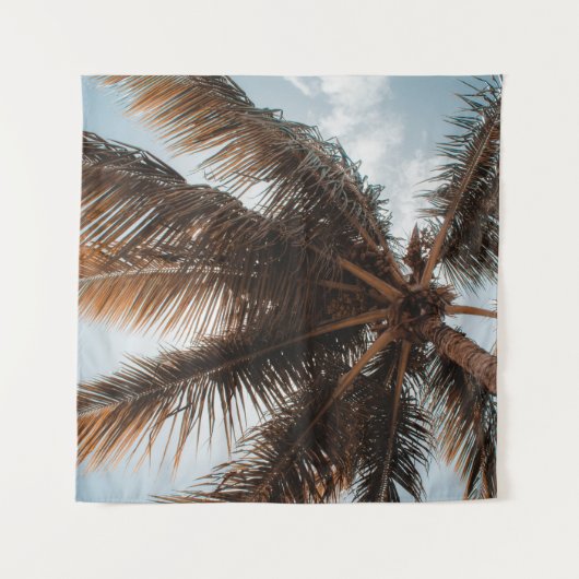 HOOGSTE HOOGTE VAN COCONUT TREE WANDKLEED (Voorkant)