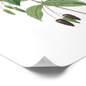 HOOGSTE KWALITEIT Botanische afdruk van Fuchsia Poster (Hoek)